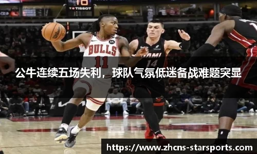 星空体育网站入口