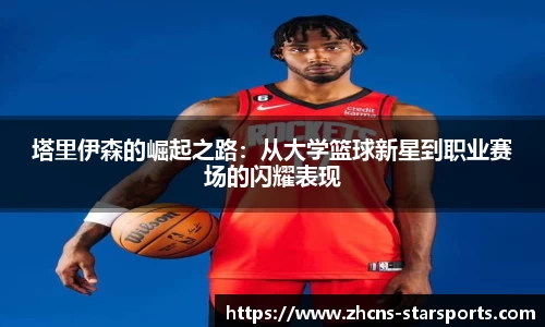 星空体育网站入口