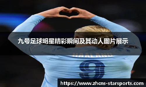星空体育在线官网